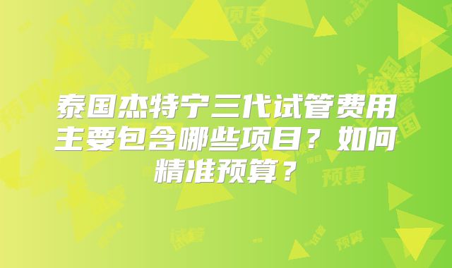 泰国杰特宁三代试管费用主要包含哪些项目？如何精准预算？
