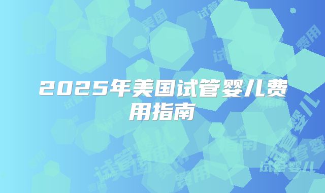 2025年美国试管婴儿费用指南