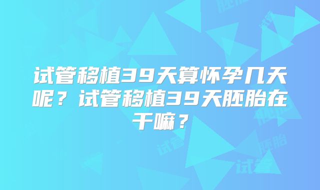 试管移植39天算怀孕几天呢?试管移植39天胚胎在干嘛?