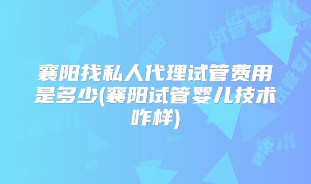 襄阳找私人代理试管费用是多少(襄阳试管婴儿技术咋样)