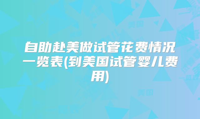 自助赴美做试管花费情况一览表(到美国试管婴儿费用)