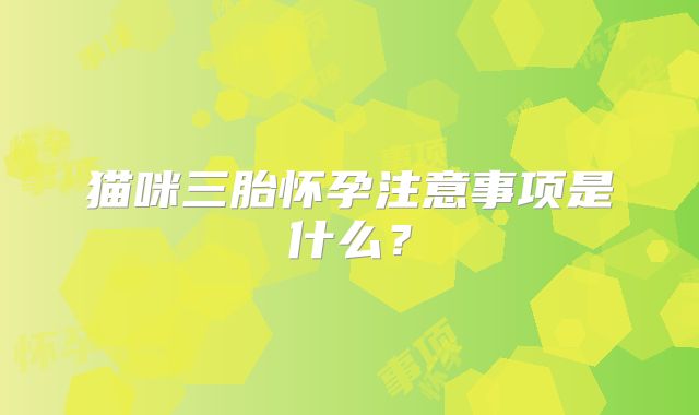 猫咪三胎怀孕注意事项是什么？