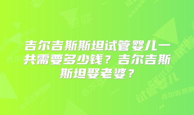 吉尔吉斯斯坦试管婴儿一共需要多少钱?吉尔吉斯斯坦娶老婆?