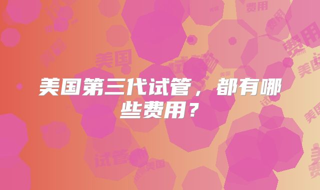 美国第三代试管,都有哪些费用?