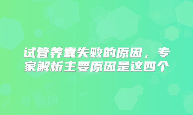 试管养囊失败的原因，专家解析主要原因是这四个
