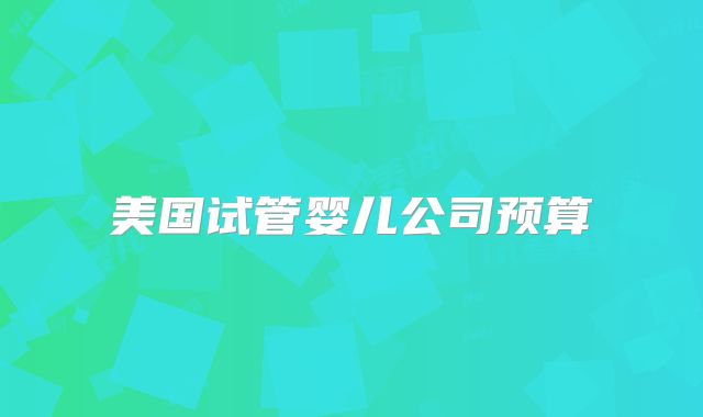 美国试管婴儿公司预算