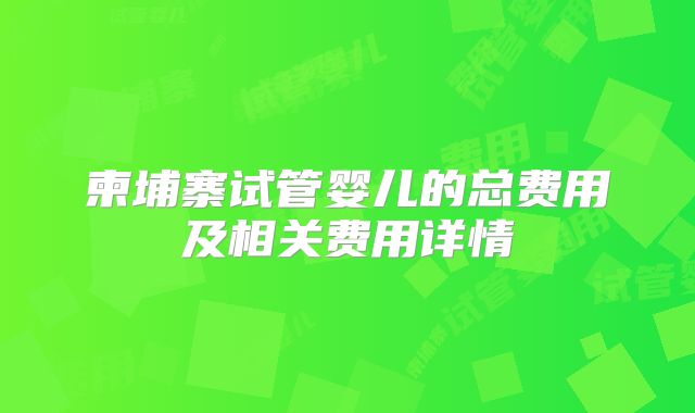 柬埔寨试管婴儿的总费用及相关费用详情