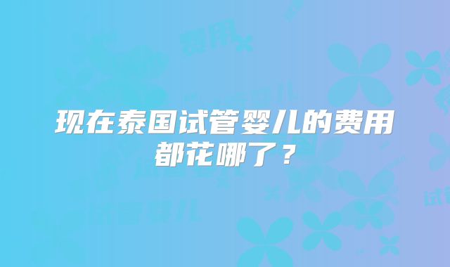 现在泰国试管婴儿的费用都花哪了？