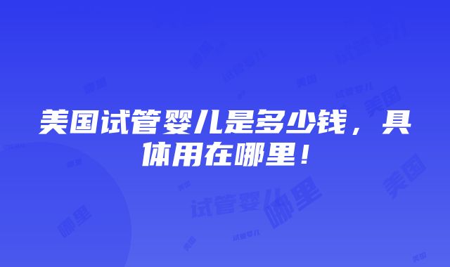 美国试管婴儿是多少钱，具体用在哪里！