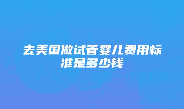 去美国做试管婴儿费用标准是多少钱