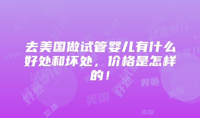 去美国做试管婴儿有什么好处和坏处，价格是怎样的！