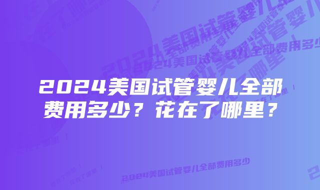 2024美国试管婴儿全部费用多少？花在了哪里？