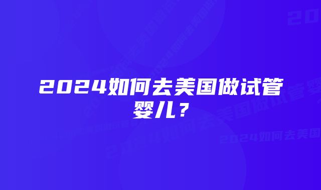 2024如何去美国做试管婴儿？