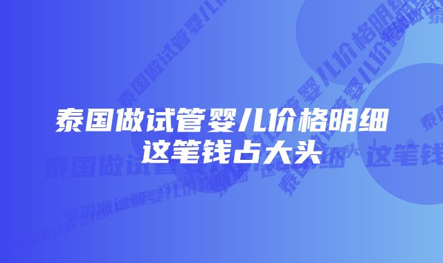 泰国做试管婴儿价格明细 这笔钱占大头