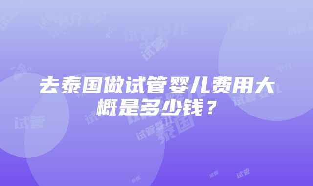 去泰国做试管婴儿费用大概是多少钱？