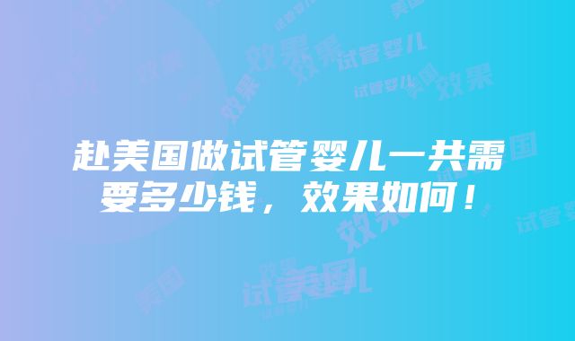 赴美国做试管婴儿一共需要多少钱，效果如何！