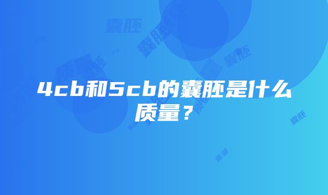 4cb和5cb的囊胚是什么质量？