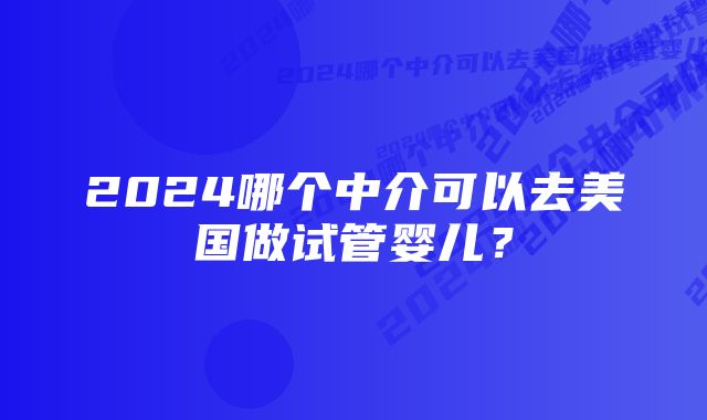 2024哪个中介可以去美国做试管婴儿？