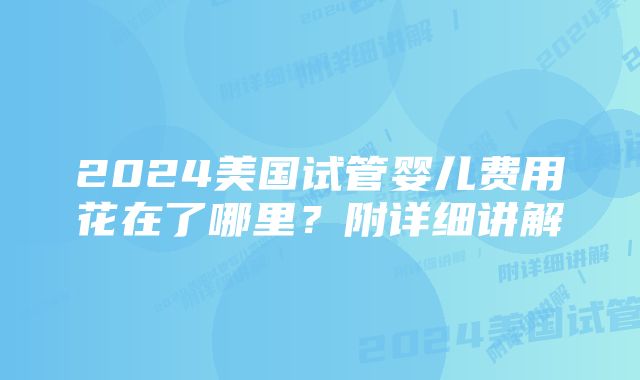 2024美国试管婴儿费用花在了哪里？附详细讲解