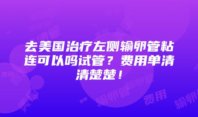 去美国治疗左侧输卵管粘连可以吗试管？费用单清清楚楚！