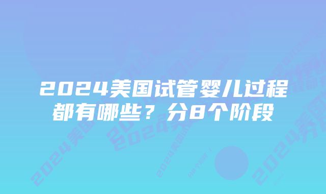 2024美国试管婴儿过程都有哪些？分8个阶段