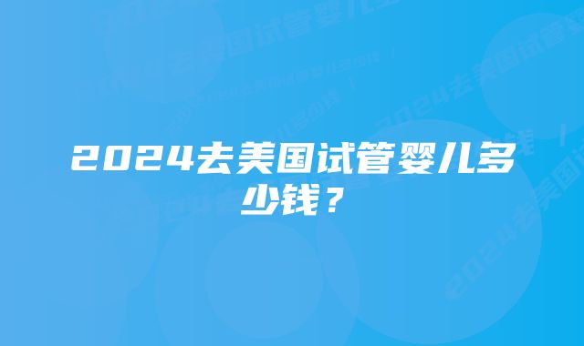 2024去美国试管婴儿多少钱？