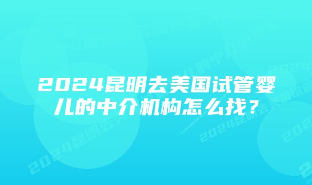 2024昆明去美国试管婴儿的中介机构怎么找？