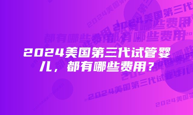 2024美国第三代试管婴儿，都有哪些费用？