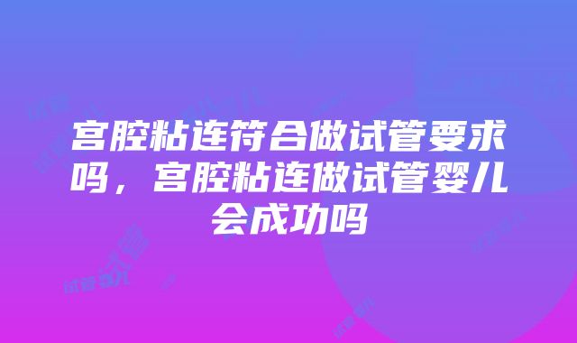 宫腔粘连符合做试管要求吗，宫腔粘连做试管婴儿会成功吗