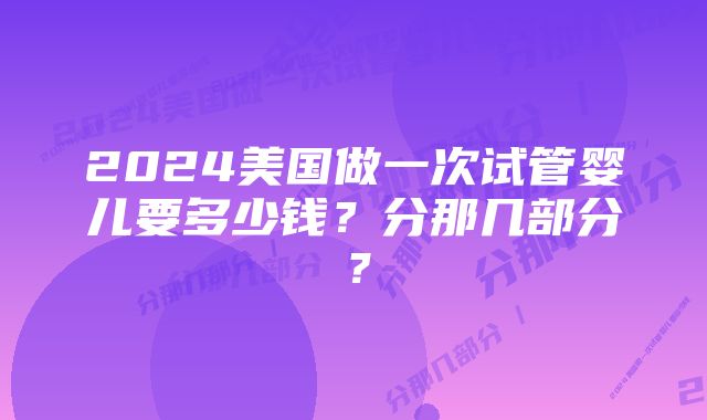 2024美国做一次试管婴儿要多少钱？分那几部分？