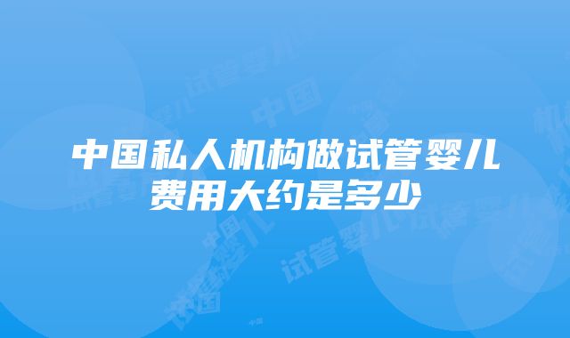 中国私人机构做试管婴儿费用大约是多少