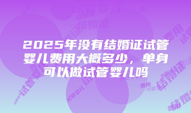 2025年没有结婚证试管婴儿费用大概多少，单身可以做试管婴儿吗