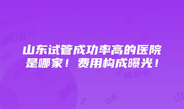 山东试管成功率高的医院是哪家！费用构成曝光！