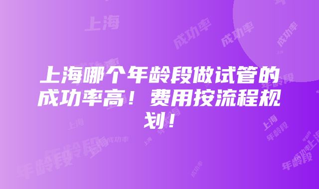 上海哪个年龄段做试管的成功率高！费用按流程规划！