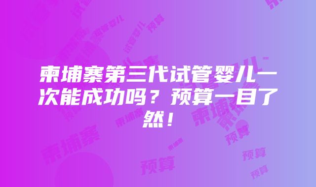 柬埔寨第三代试管婴儿一次能成功吗？预算一目了然！