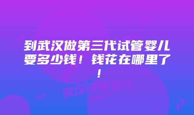 到武汉做第三代试管婴儿要多少钱！钱花在哪里了！