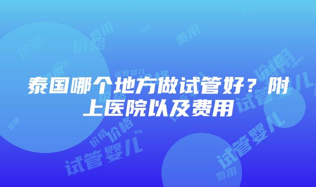 泰国哪个地方做试管好？附上医院以及费用