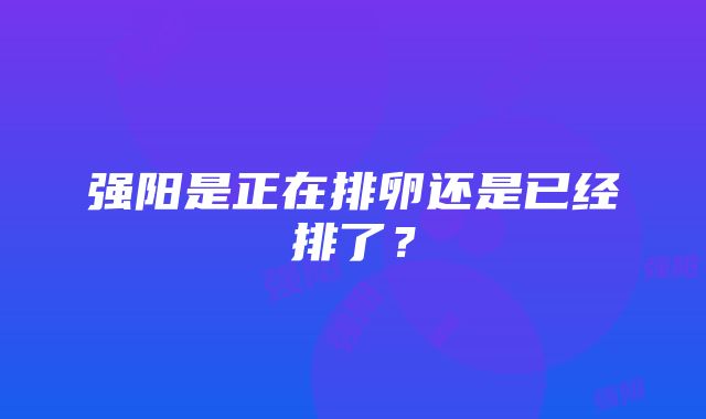 强阳是正在排卵还是已经排了？