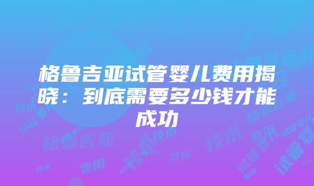 格鲁吉亚试管婴儿费用揭晓：到底需要多少钱才能成功