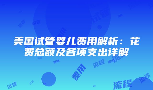 美国试管婴儿费用解析：花费总额及各项支出详解