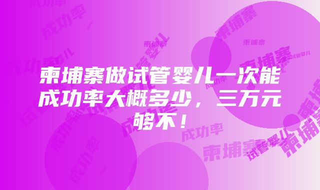 柬埔寨做试管婴儿一次能成功率大概多少，三万元够不！