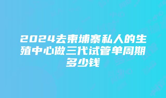 2024去柬埔寨私人的生殖中心做三代试管单周期多少钱