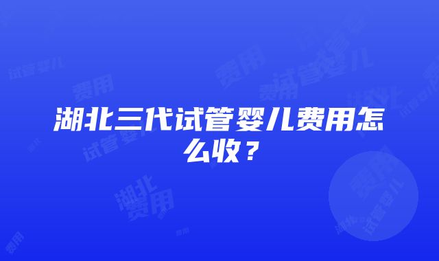 湖北三代试管婴儿费用怎么收？