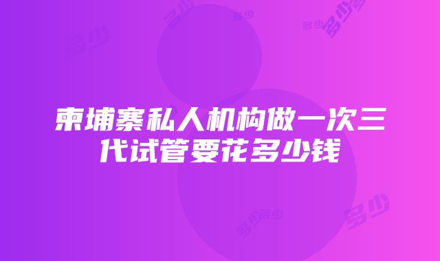 柬埔寨私人机构做一次三代试管要花多少钱