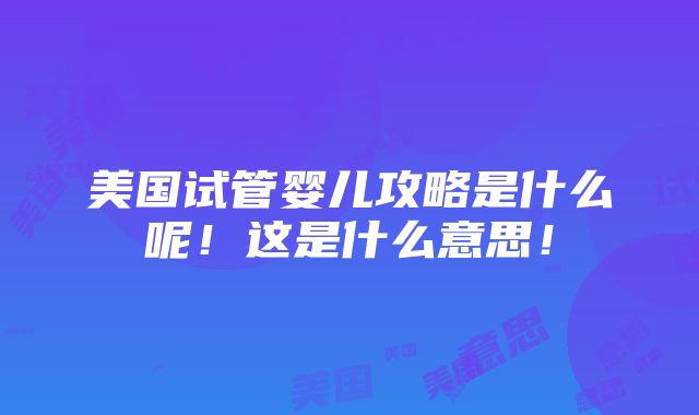 美国试管婴儿攻略是什么呢！这是什么意思！