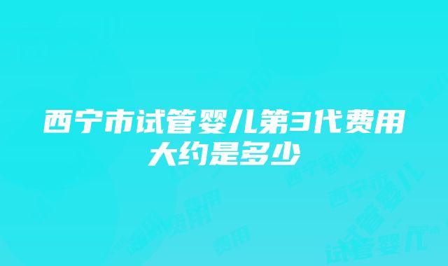 西宁市试管婴儿第3代费用大约是多少