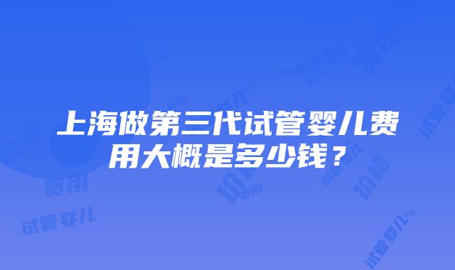 上海做第三代试管婴儿费用大概是多少钱？