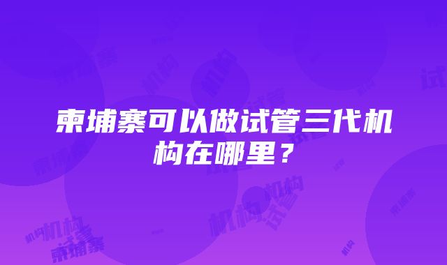 柬埔寨可以做试管三代机构在哪里？