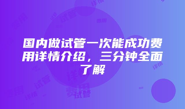 国内做试管一次能成功费用详情介绍，三分钟全面了解