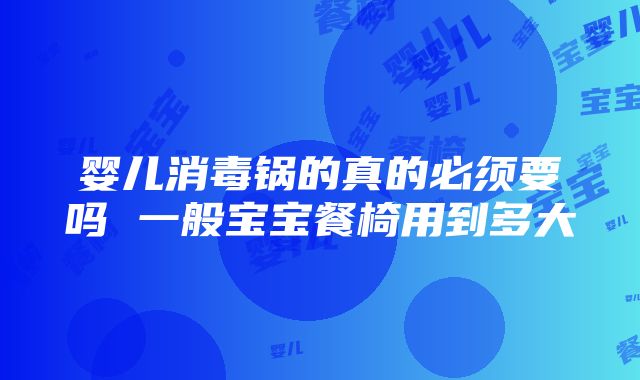 婴儿消毒锅的真的必须要吗 一般宝宝餐椅用到多大